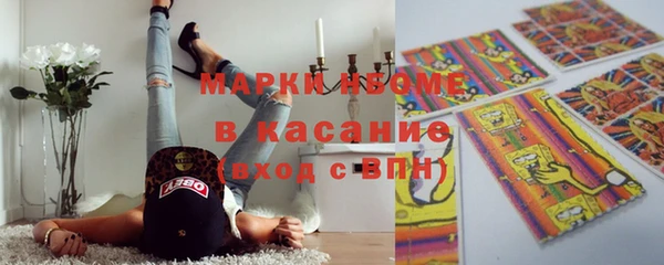 индика Елабуга
