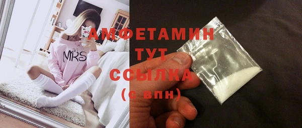 индика Елабуга