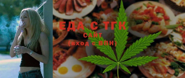 индика Елабуга