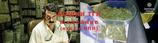 индика Елабуга