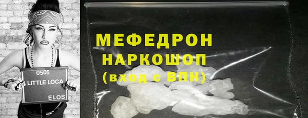 индика Елабуга