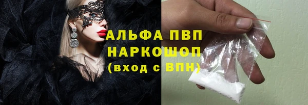 индика Елабуга