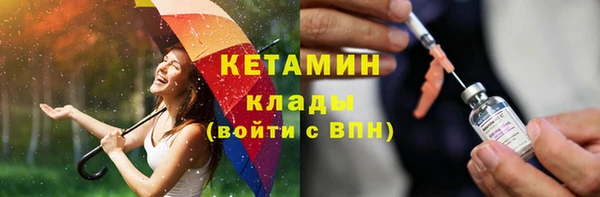 индика Елабуга
