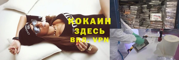 метамфетамин Ельня