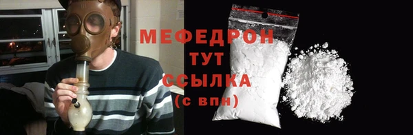 индика Елабуга