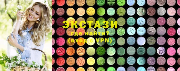 индика Елабуга