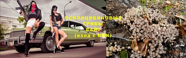 метамфетамин Ельня