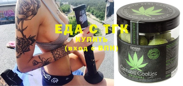 индика Елабуга