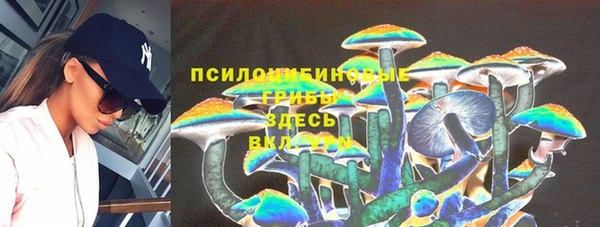 метамфетамин Ельня