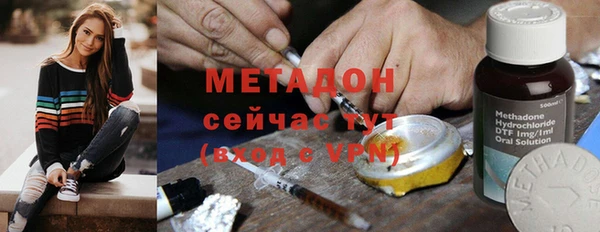индика Елабуга