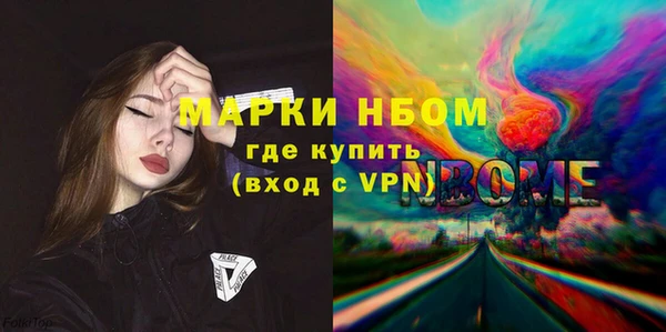 индика Елабуга