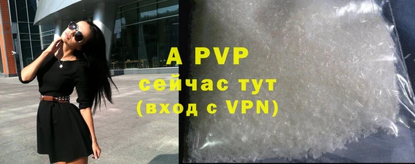 индика Елабуга